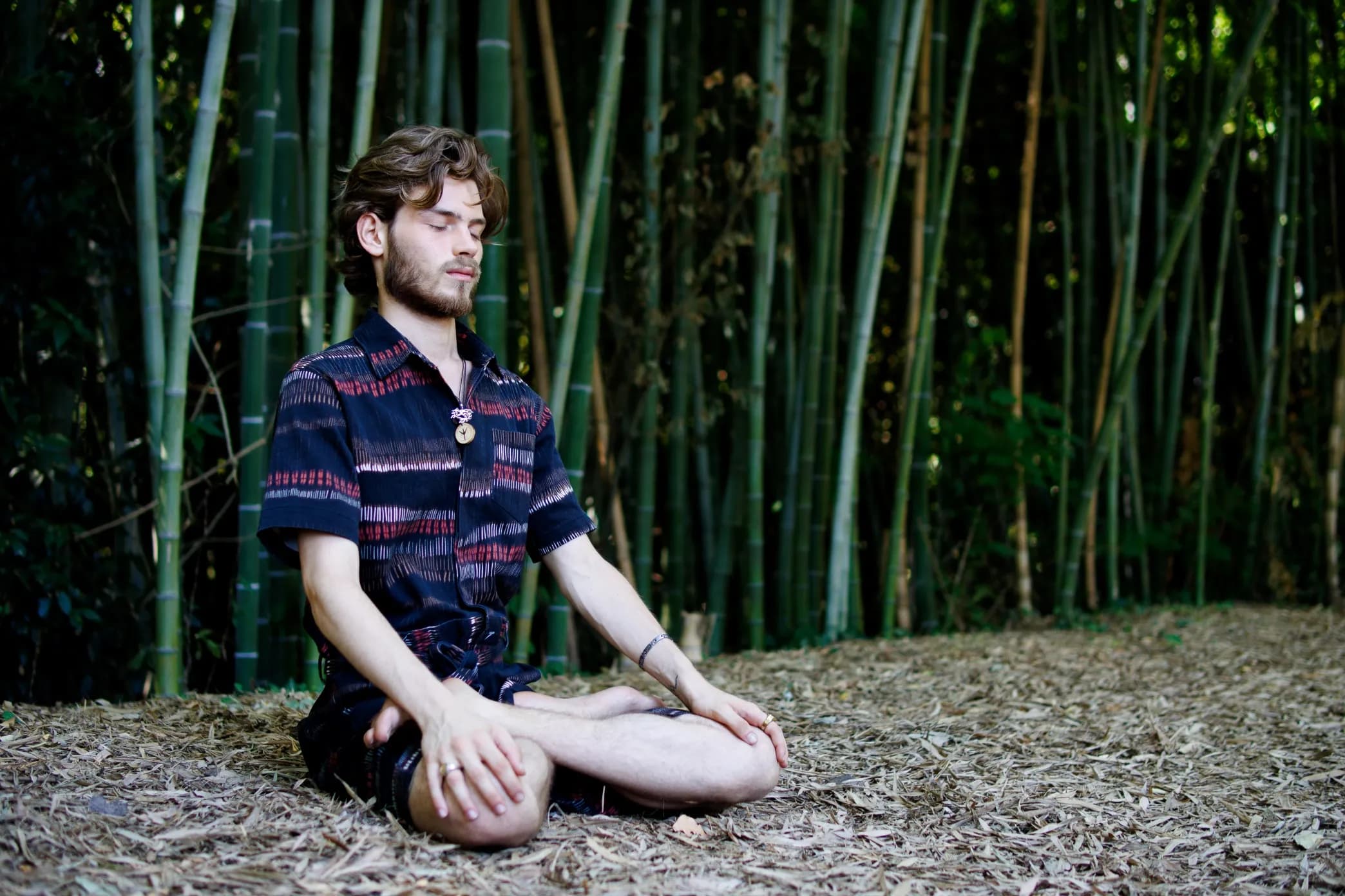 Imaginal Mindfulness